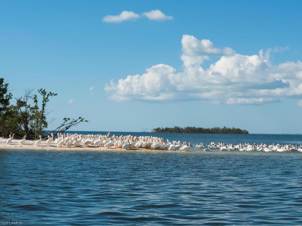 Marina Getaway On The Water! Apartamento North North Naples Exterior foto