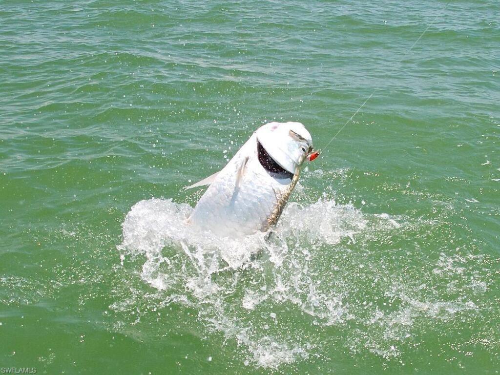 Marina Getaway On The Water! Apartamento North North Naples Exterior foto